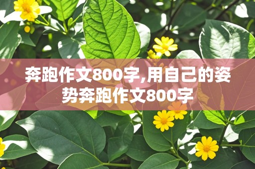 奔跑作文800字,用自己的姿势奔跑作文800字