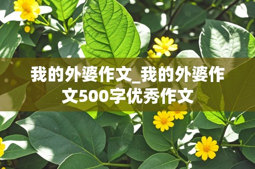 我的外婆作文_我的外婆作文500字优秀作文