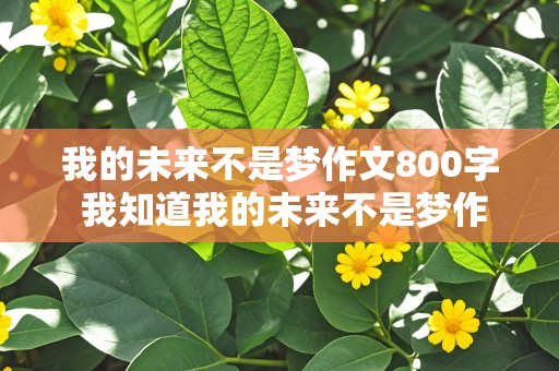 我的未来不是梦作文800字 我知道我的未来不是梦作文800字