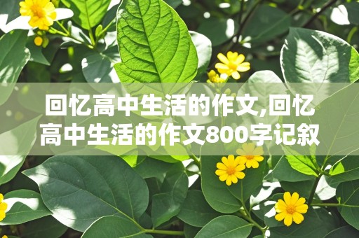 回忆高中生活的作文,回忆高中生活的作文800字记叙文