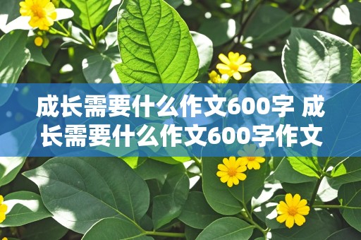 成长需要什么作文600字 成长需要什么作文600字作文