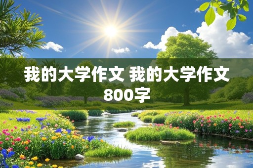 我的大学作文 我的大学作文800字