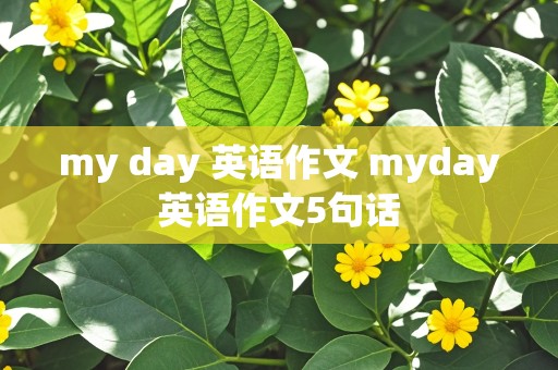 my day 英语作文 myday英语作文5句话