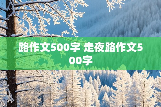 路作文500字 走夜路作文500字