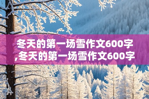 冬天的第一场雪作文600字,冬天的第一场雪作文600字初中