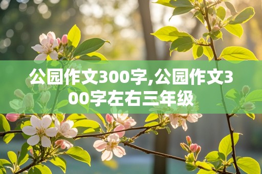 公园作文300字,公园作文300字左右三年级