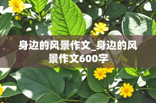 身边的风景作文_身边的风景作文600字