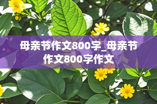 母亲节作文800字_母亲节作文800字作文