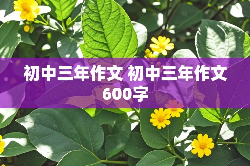 初中三年作文 初中三年作文600字