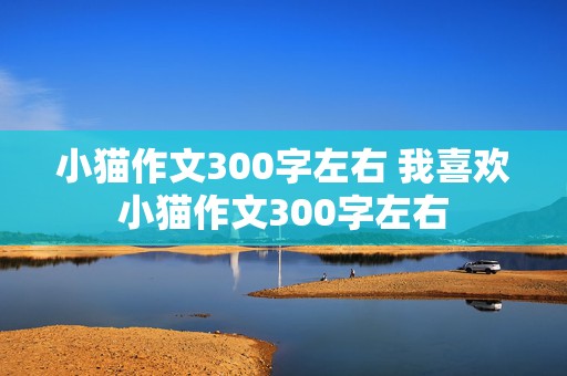 小猫作文300字左右 我喜欢小猫作文300字左右