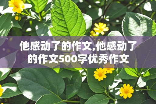 他感动了的作文,他感动了的作文500字优秀作文