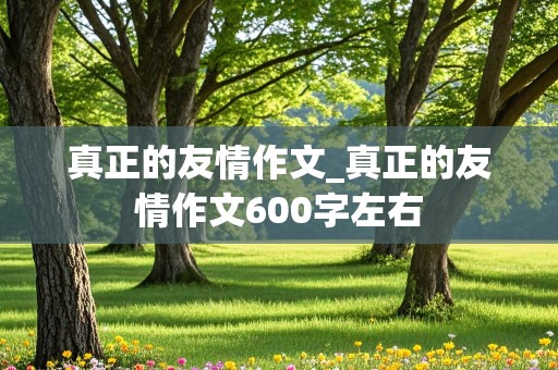 真正的友情作文_真正的友情作文600字左右