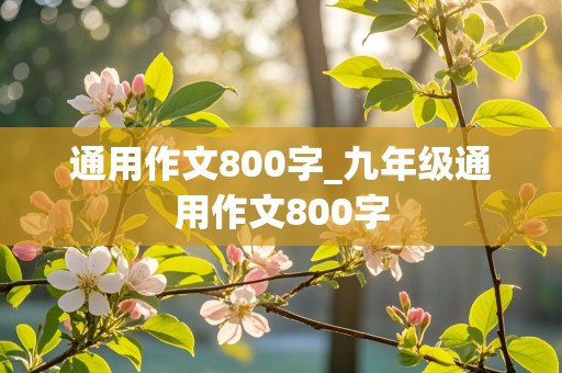 通用作文800字_九年级通用作文800字