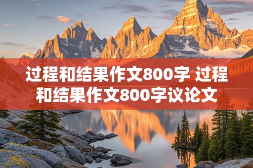 过程和结果作文800字 过程和结果作文800字议论文