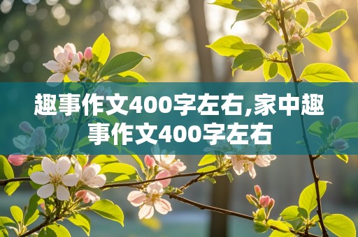 趣事作文400字左右,家中趣事作文400字左右