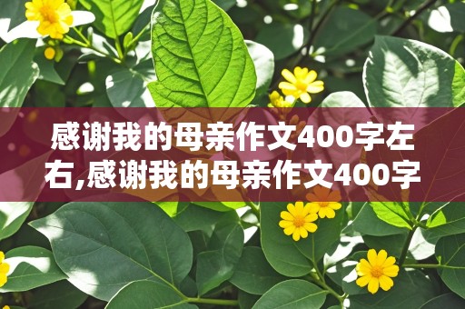 感谢我的母亲作文400字左右,感谢我的母亲作文400字左右小学的事