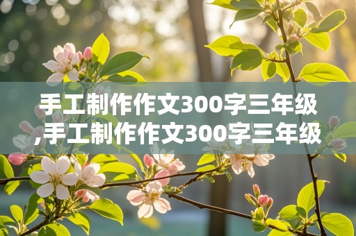 手工制作作文300字三年级,手工制作作文300字三年级先接着然后最后