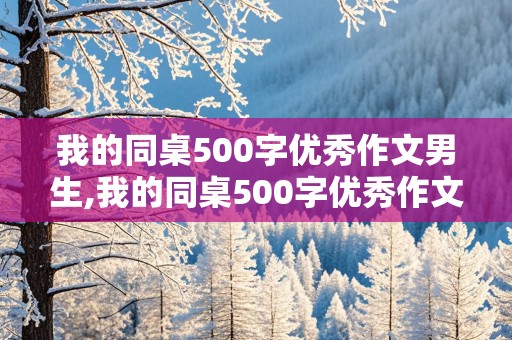 我的同桌500字优秀作文男生,我的同桌500字优秀作文男生初中