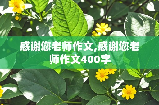 感谢您老师作文,感谢您老师作文400字