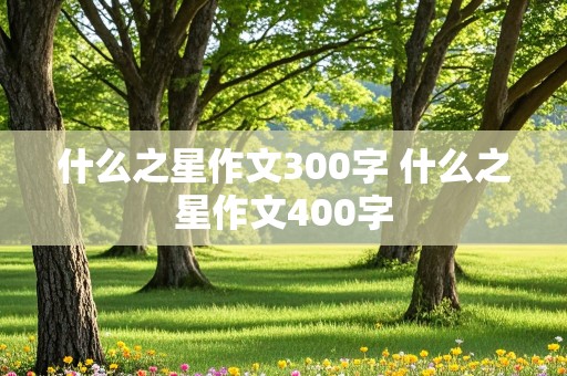 什么之星作文300字 什么之星作文400字