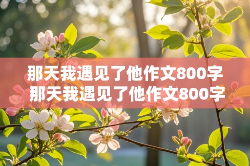 那天我遇见了他作文800字 那天我遇见了他作文800字李白