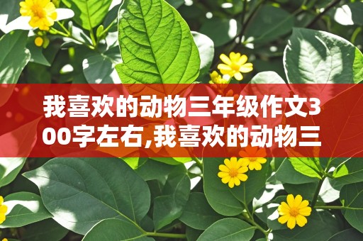 我喜欢的动物三年级作文300字左右,我喜欢的动物三年级作文300字左右小鸭子