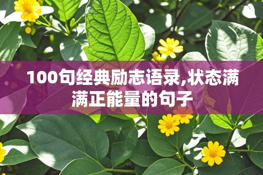 100句经典励志语录,状态满满正能量的句子