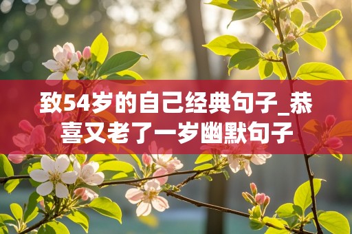 致54岁的自己经典句子_恭喜又老了一岁幽默句子