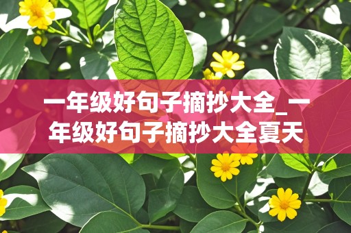 一年级好句子摘抄大全_一年级好句子摘抄大全夏天