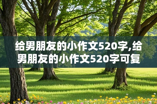 给男朋友的小作文520字,给男朋友的小作文520字可复制