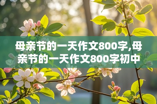 母亲节的一天作文800字,母亲节的一天作文800字初中