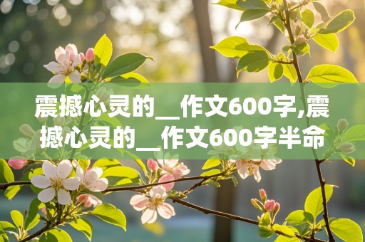 震撼心灵的__作文600字,震撼心灵的__作文600字半命题