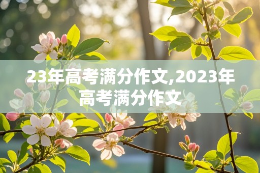 23年高考满分作文,2023年高考满分作文