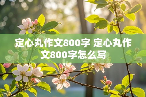 定心丸作文800字 定心丸作文800字怎么写