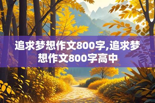 追求梦想作文800字,追求梦想作文800字高中