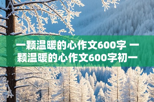 一颗温暖的心作文600字 一颗温暖的心作文600字初一