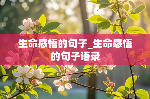 生命感悟的句子_生命感悟的句子语录