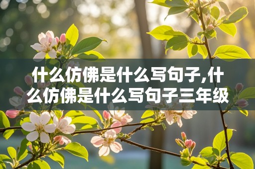 什么仿佛是什么写句子,什么仿佛是什么写句子三年级