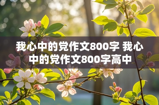 我心中的党作文800字 我心中的党作文800字高中