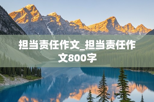 担当责任作文_担当责任作文800字