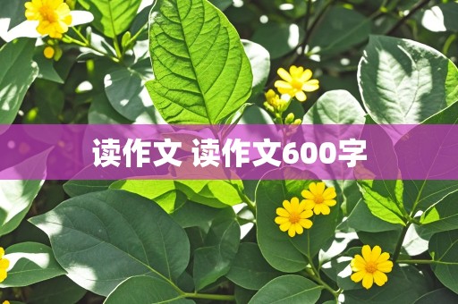 读作文 读作文600字