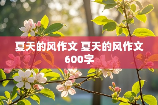 夏天的风作文 夏天的风作文600字