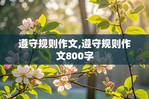 遵守规则作文,遵守规则作文800字