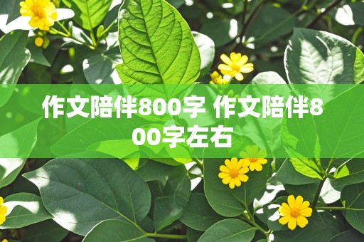 作文陪伴800字 作文陪伴800字左右