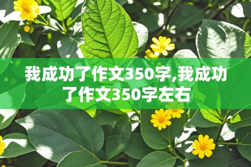 我成功了作文350字,我成功了作文350字左右