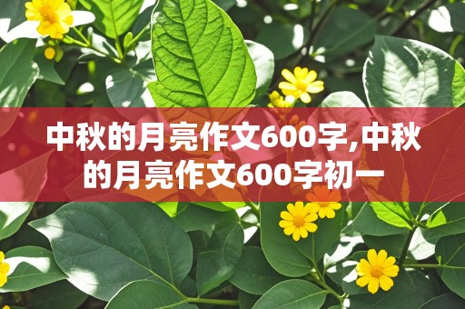 中秋的月亮作文600字,中秋的月亮作文600字初一