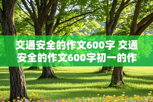 交通安全的作文600字 交通安全的作文600字初一的作文