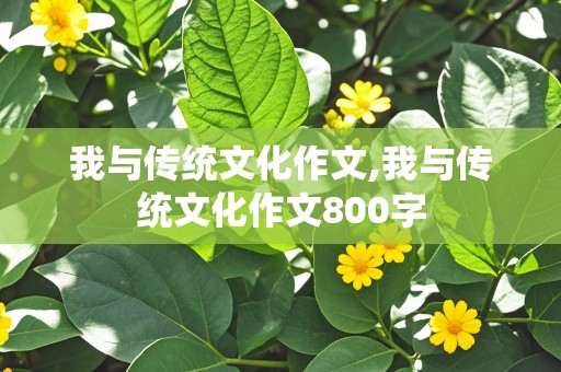 我与传统文化作文,我与传统文化作文800字