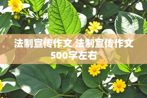 法制宣传作文 法制宣传作文500字左右