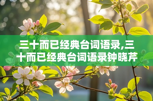 三十而已经典台词语录,三十而已经典台词语录钟晓芹